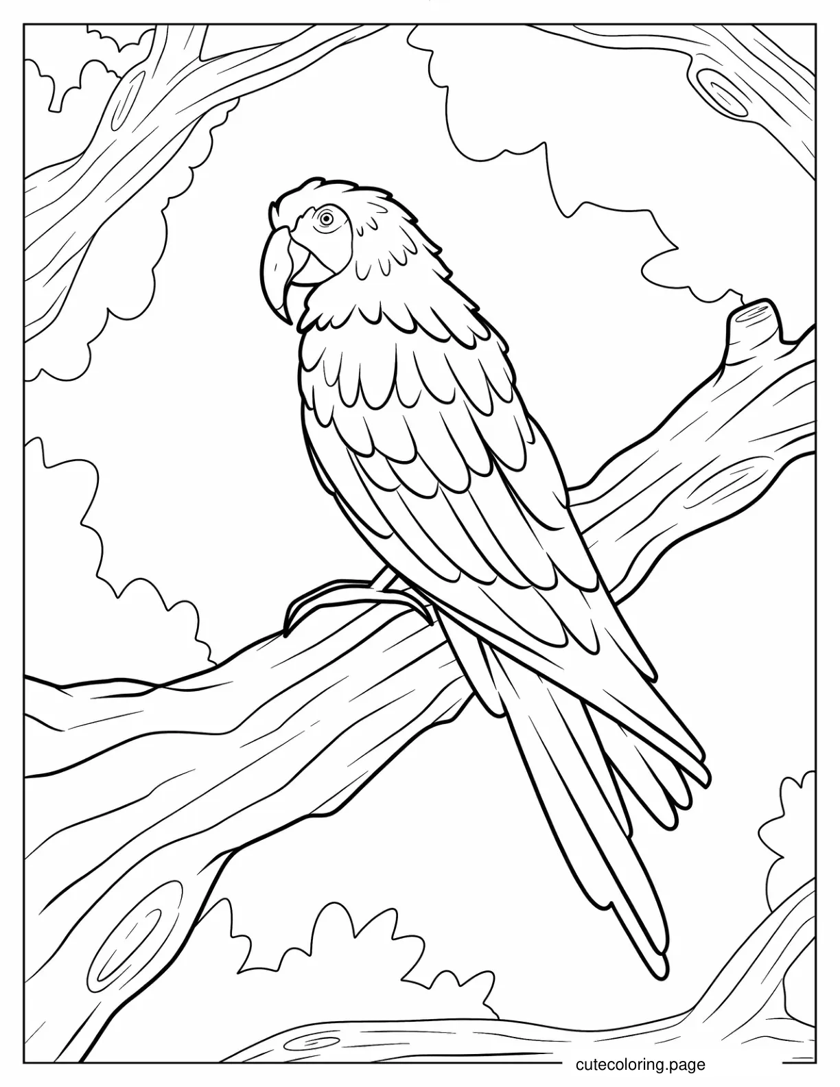 Macaw Parrot Coloring Sheet coloring page