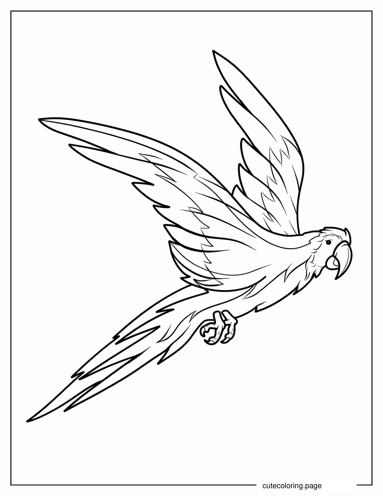 Parrot Flying With Large Wings coloring page