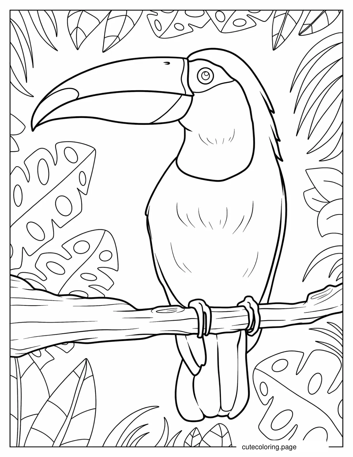 Parrot With Large Beak To Color coloring page