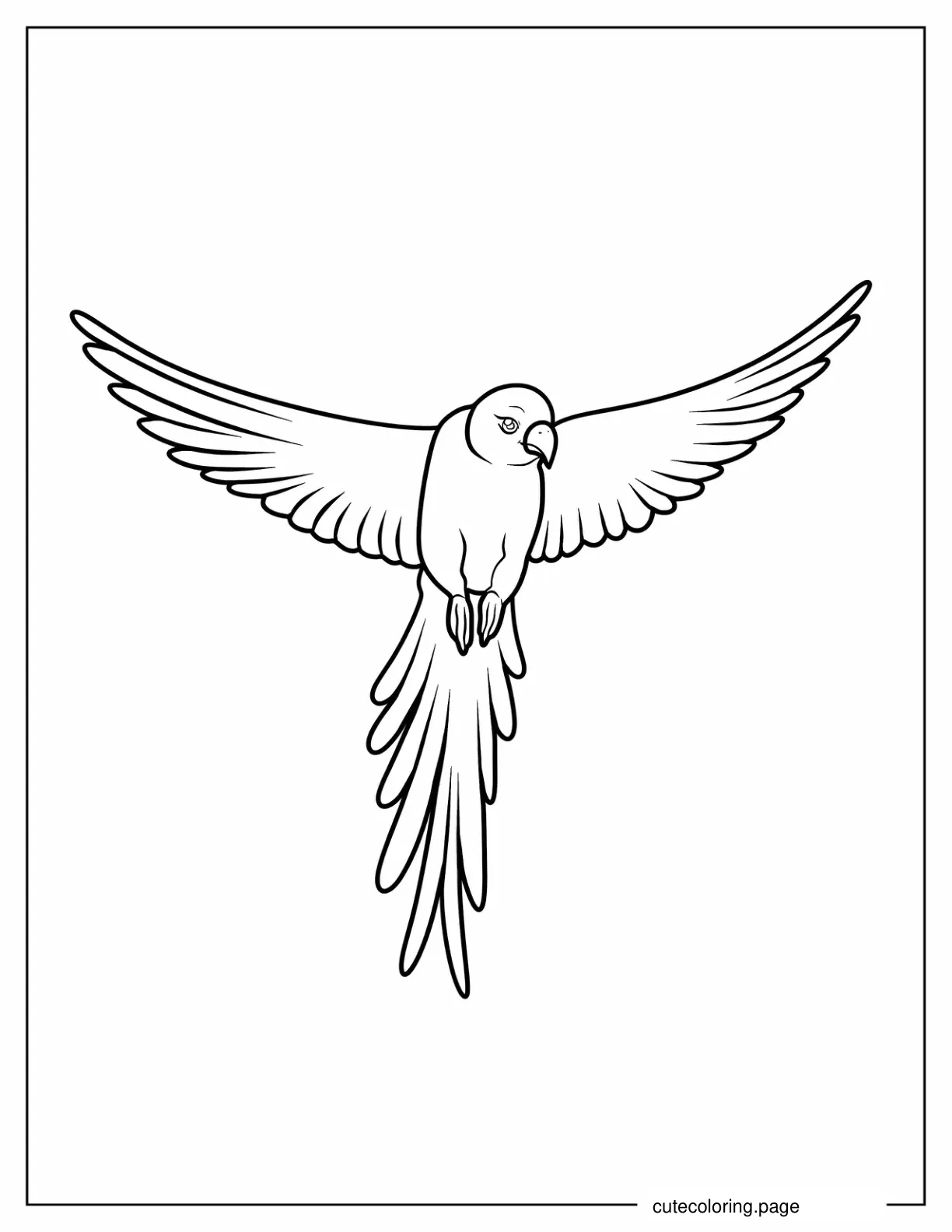 Simple Outline Of a Parrot Flying coloring page