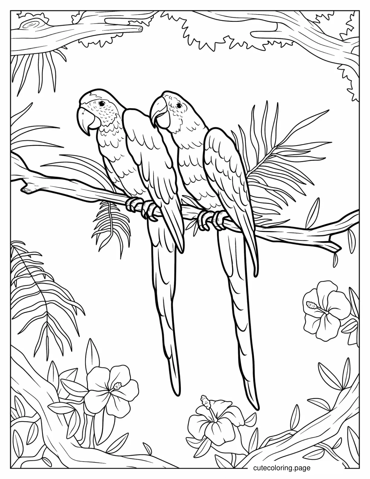 Two Detailed Eclectus Parrots To Color coloring page