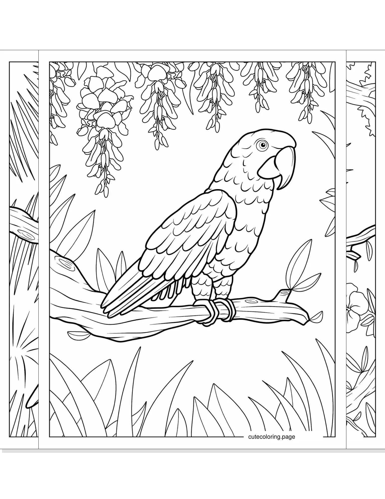 parrot coloring pages coloring page