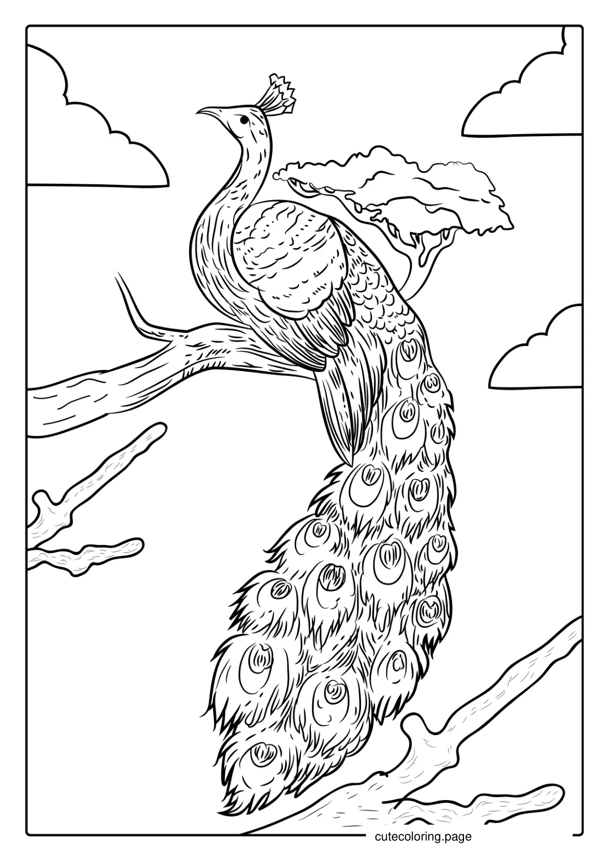 Detailed Peacock Sitting On Branch Coloring Sheet coloring page