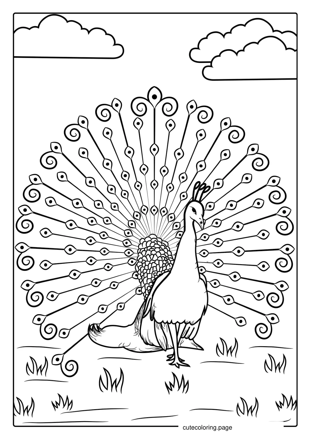 Majestic Peacock Showing Off Feathers coloring page