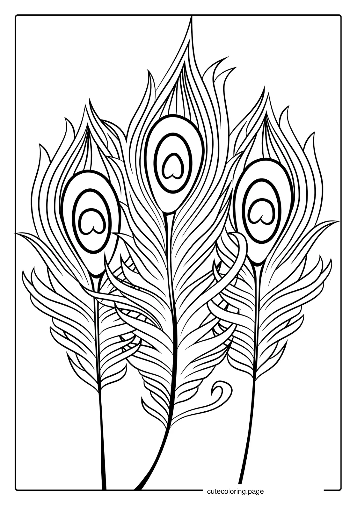 Peacock Bird Feather Coloring In coloring page