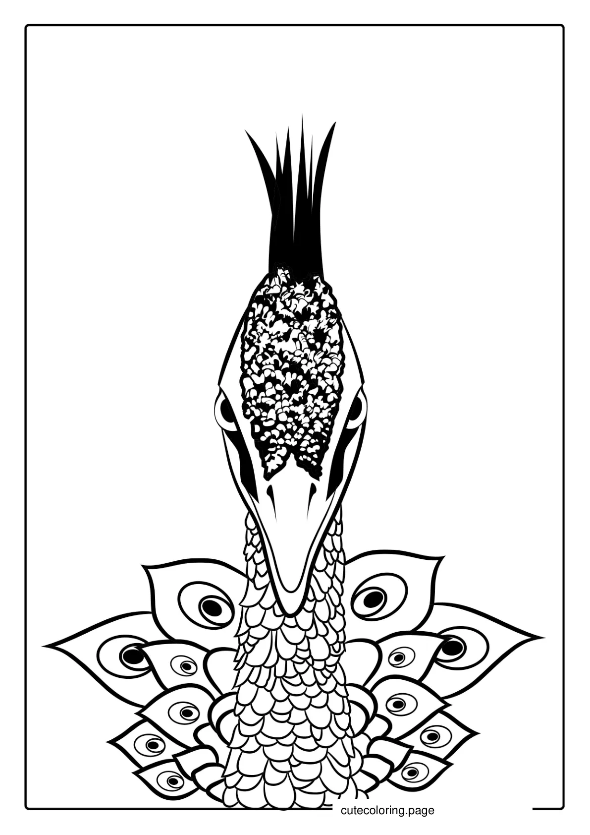 Peacock Bird Head Coloring In coloring page