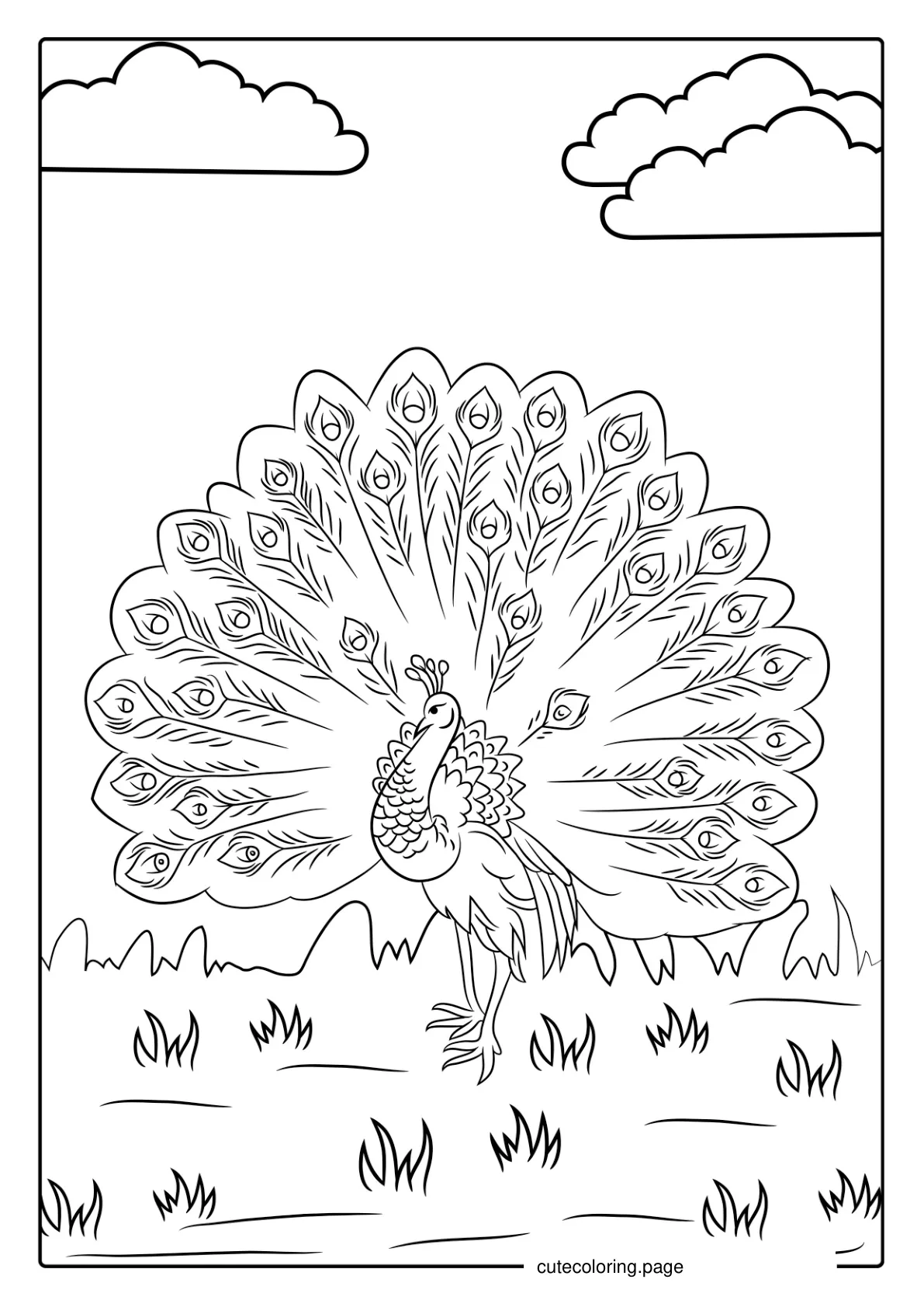 Peacock Flaring It Feathers In The Sun coloring page