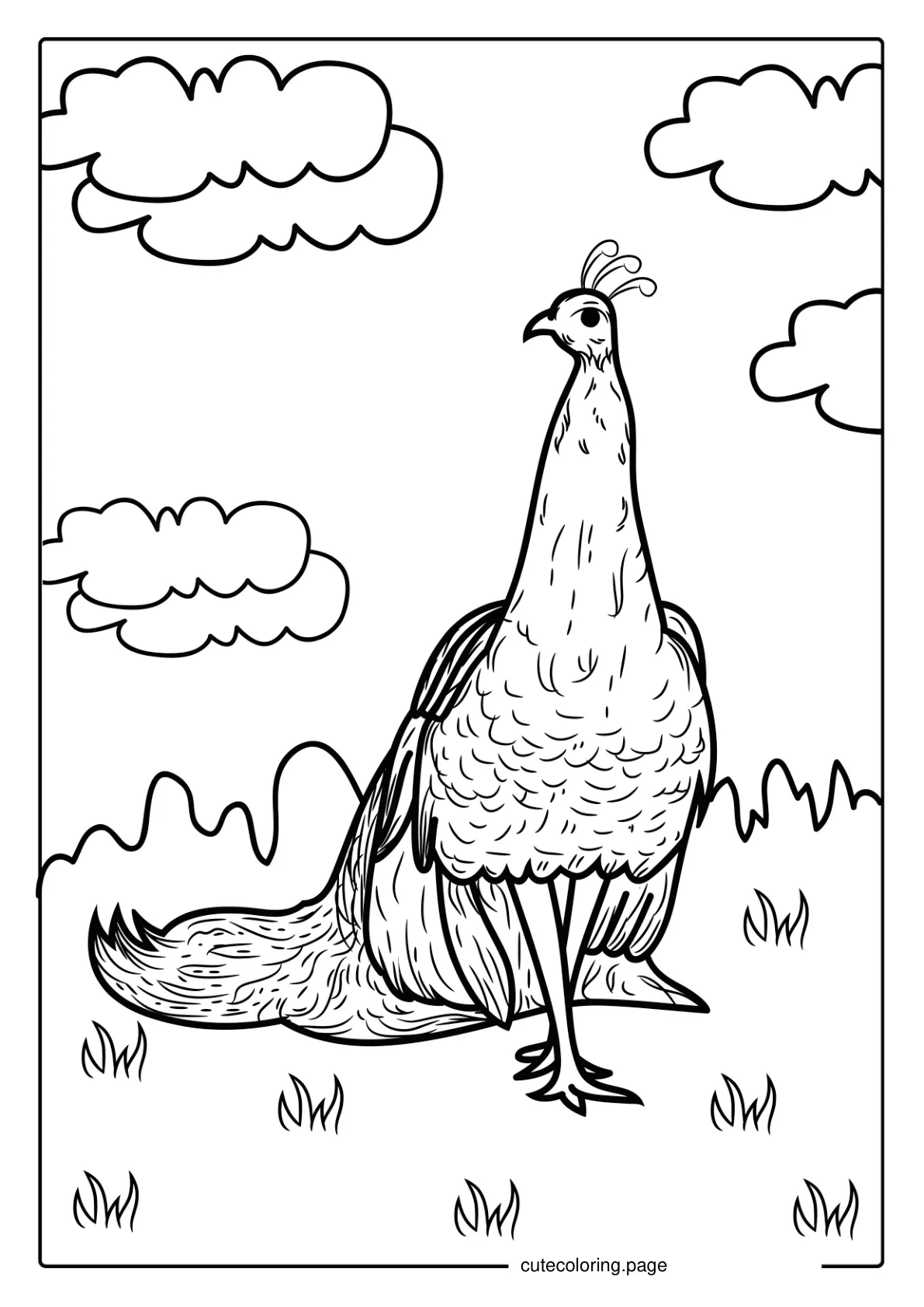 Peacock With Feathers Hidden Coloring coloring page