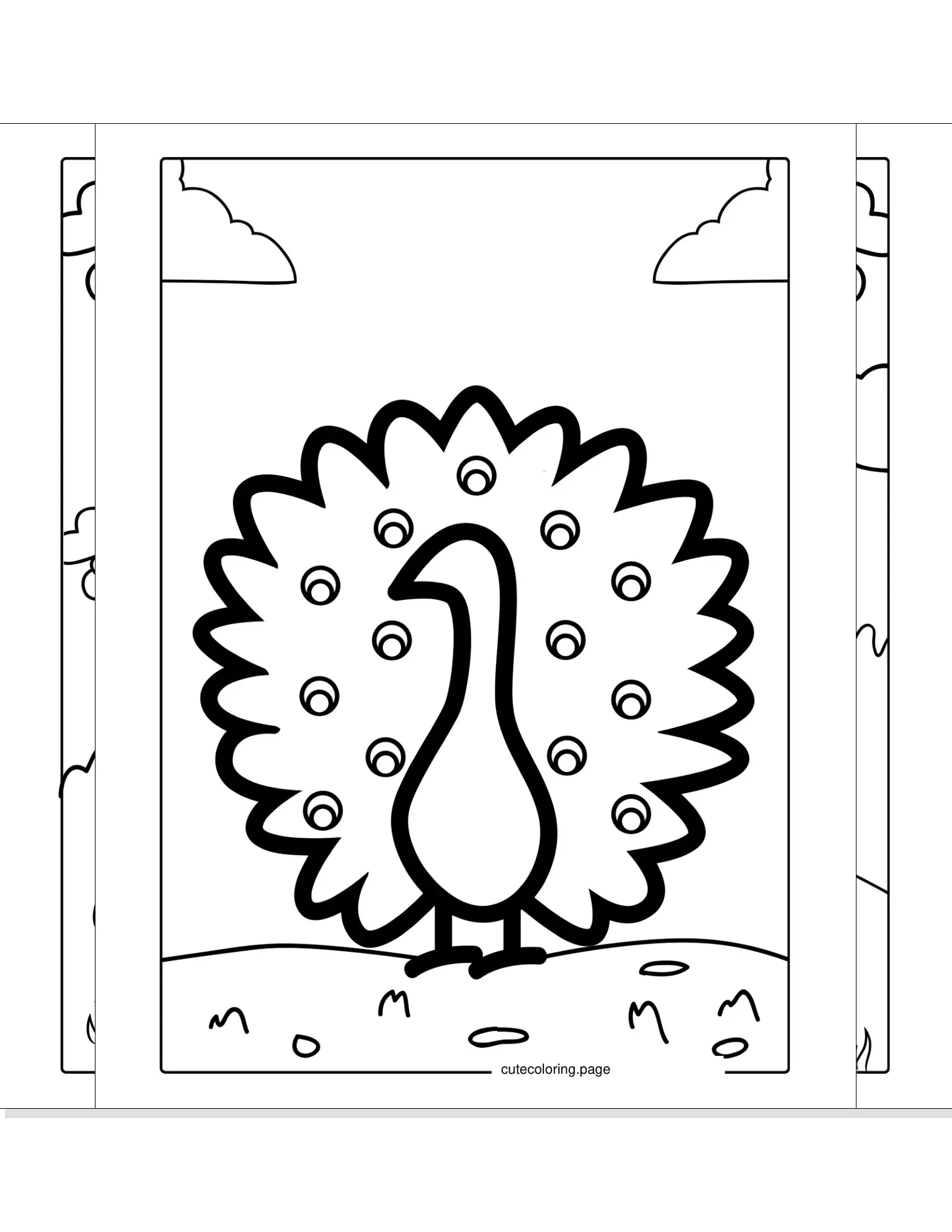 peacock coloring pages coloring page