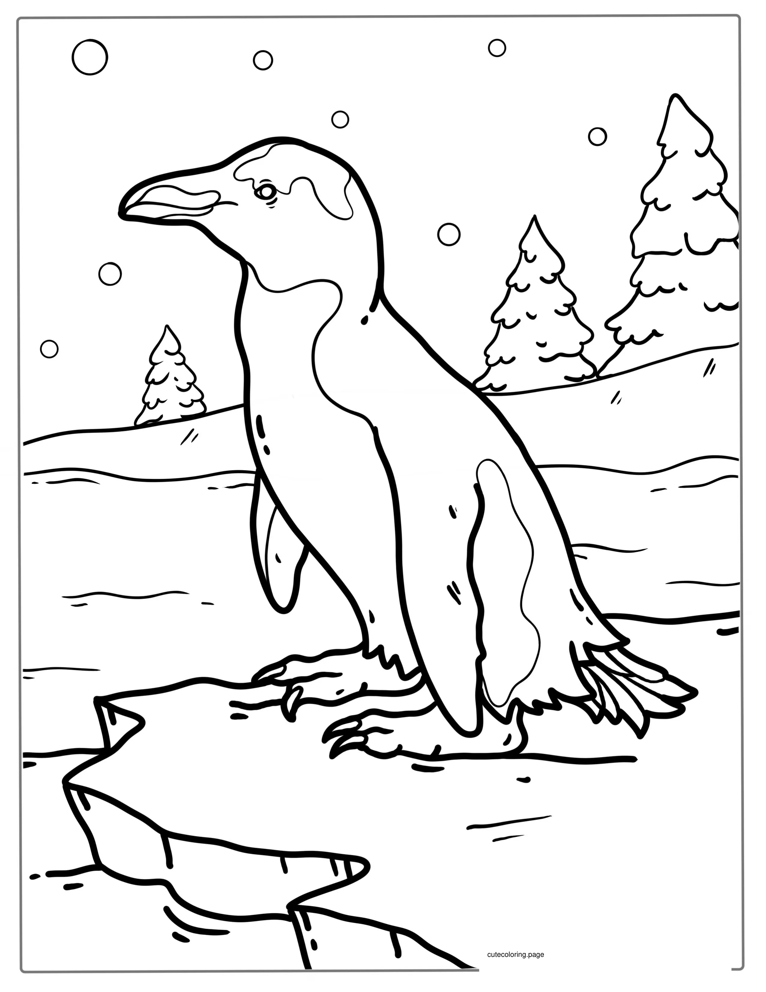 Humboldt Penguin Coloring Page coloring page