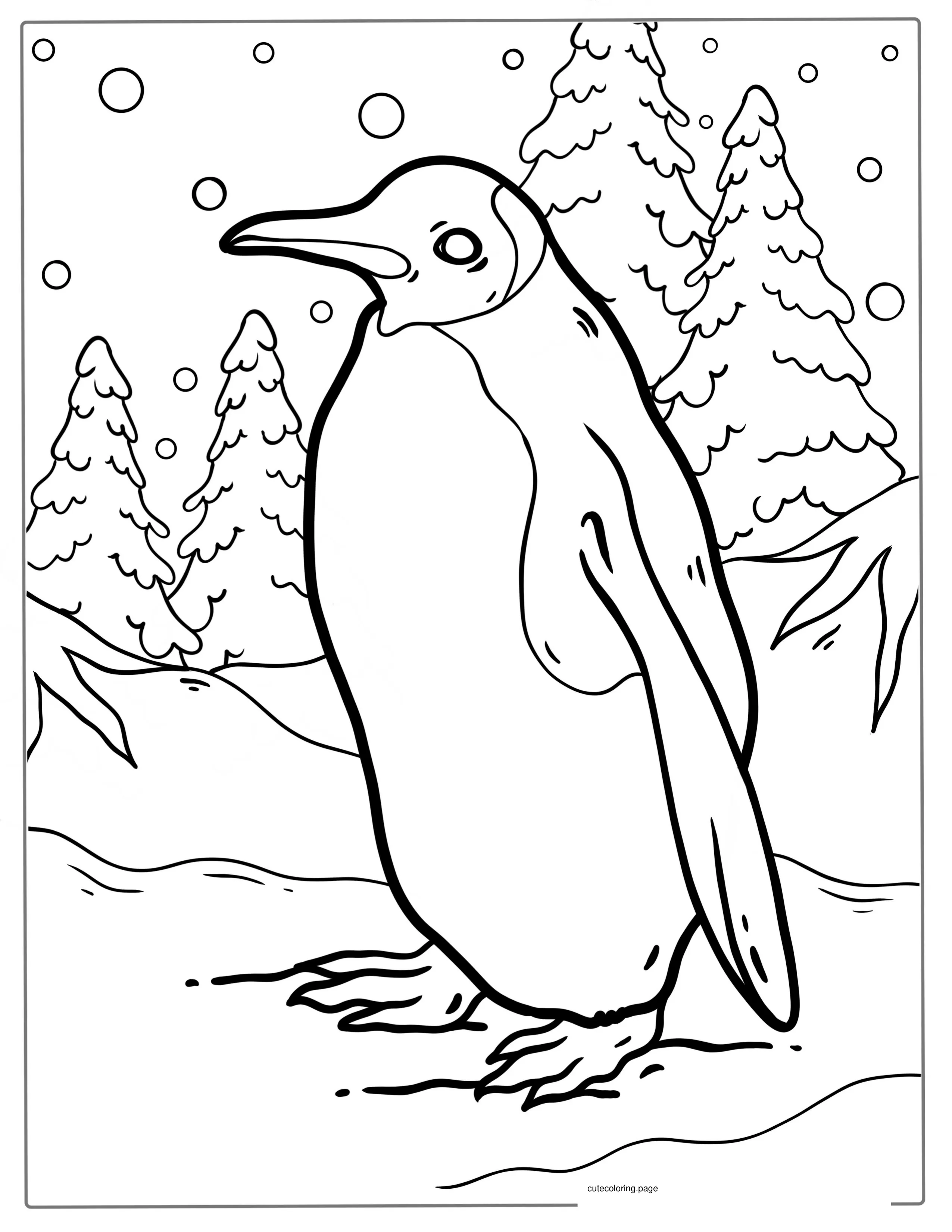 King Penguin Coloring Sheet For Kids coloring page