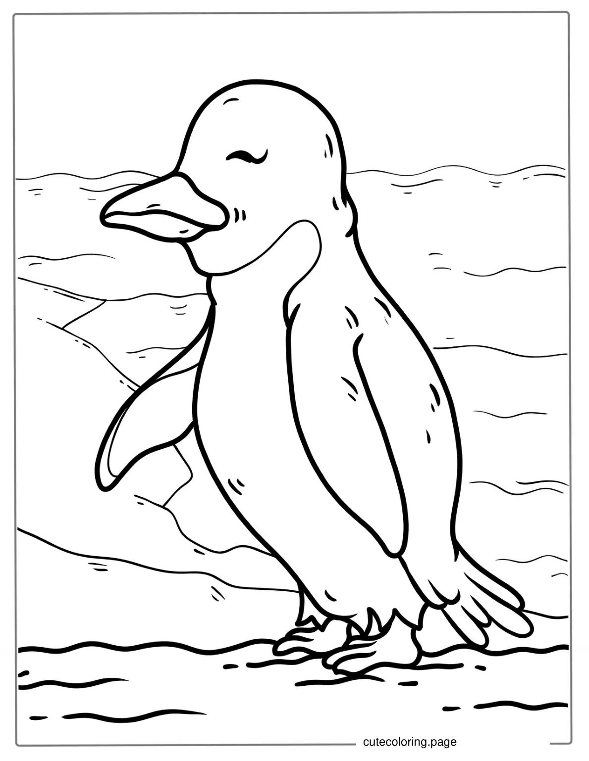 Snares Penguin Coloring Page For Kids coloring page