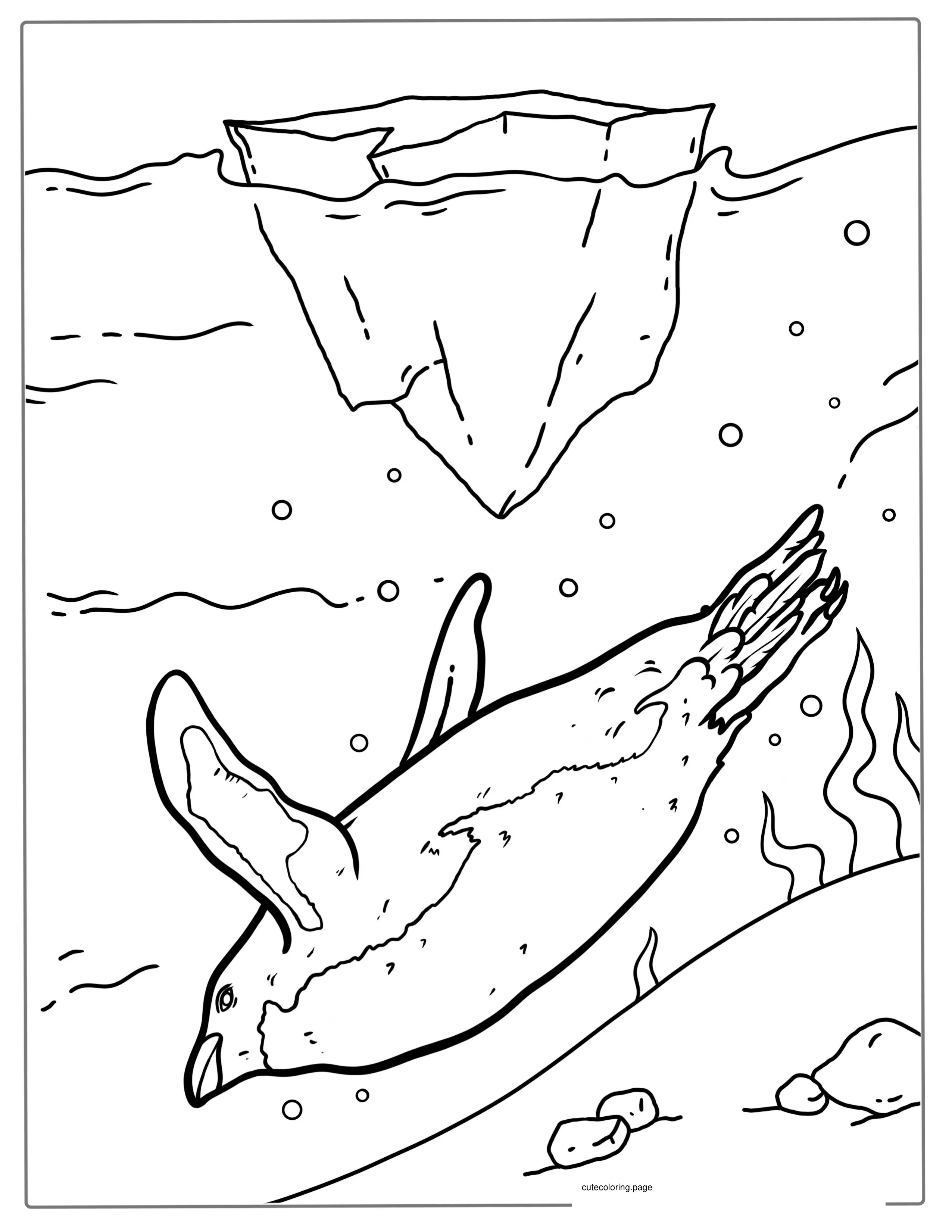 Swimming Galapagos Penguin Coloring In coloring page