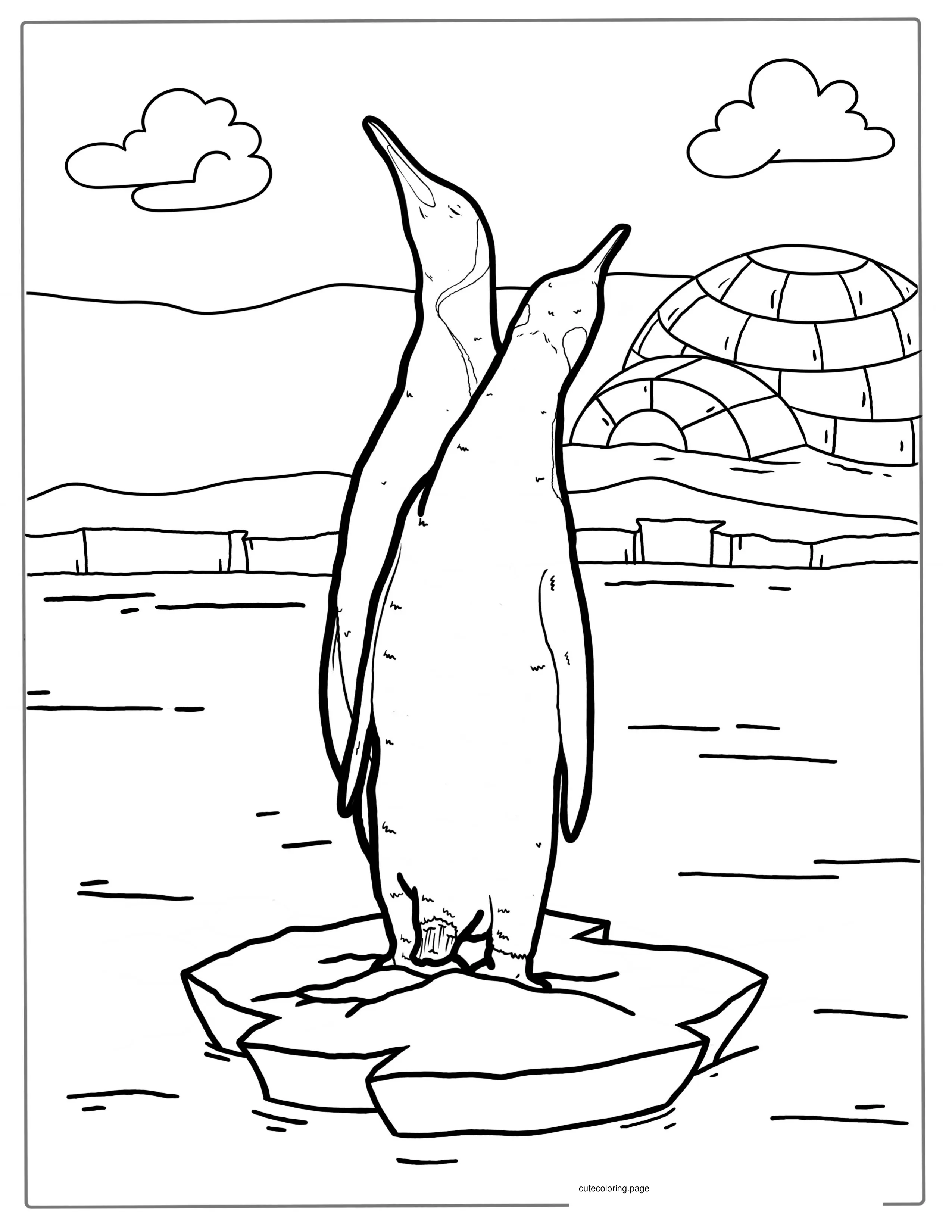 Two Adelie Penguins In Antartica Coloring Page coloring page