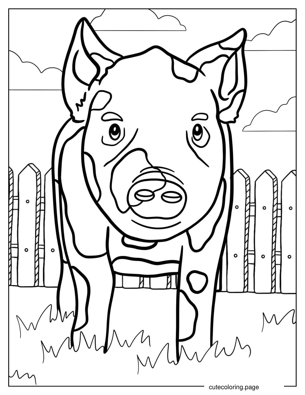 Baby Spotted Piglet In a Field coloring page