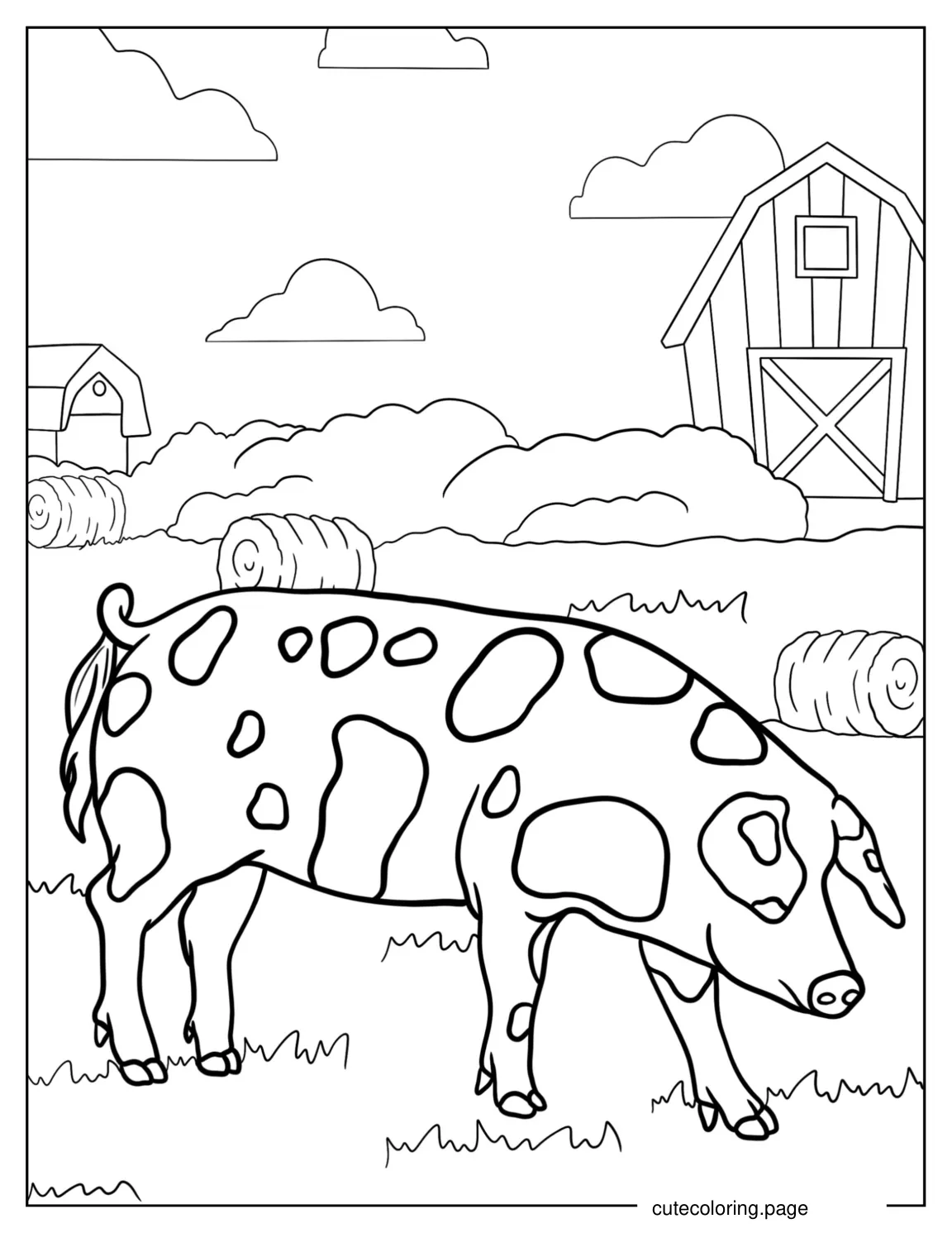 Bentheim Black Pied Pig On Farm coloring page