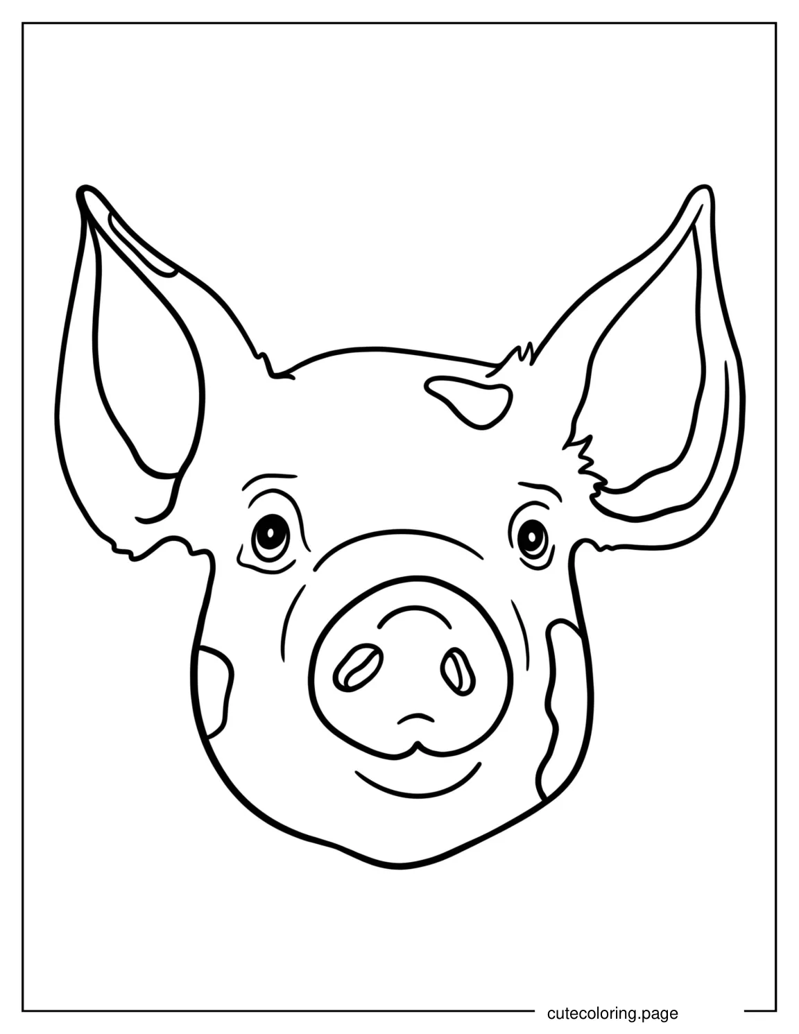 Simple Outline Of a Pigs Head To Color coloring page