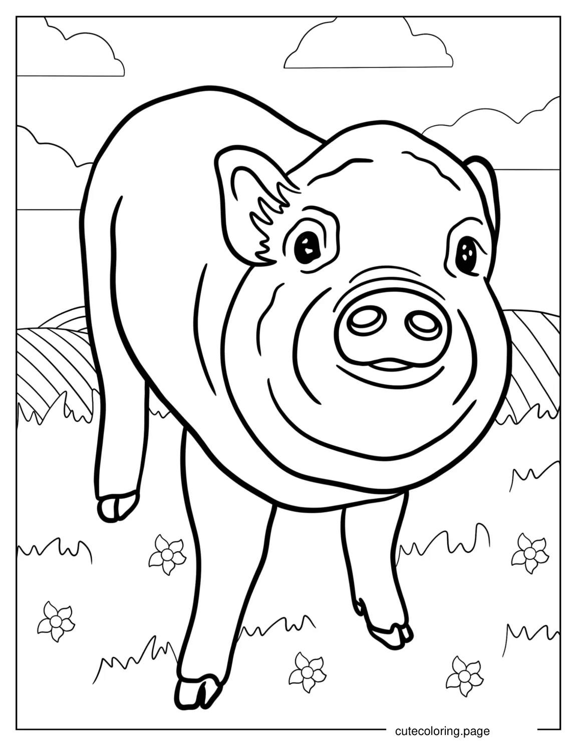 Smiling Cute Baby Pig coloring page