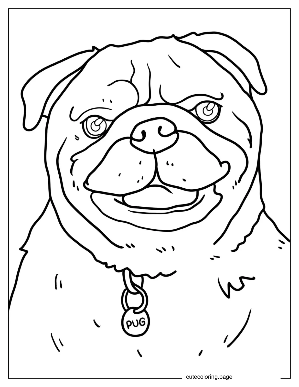 Detailed Pug Face Coloring Page coloring page