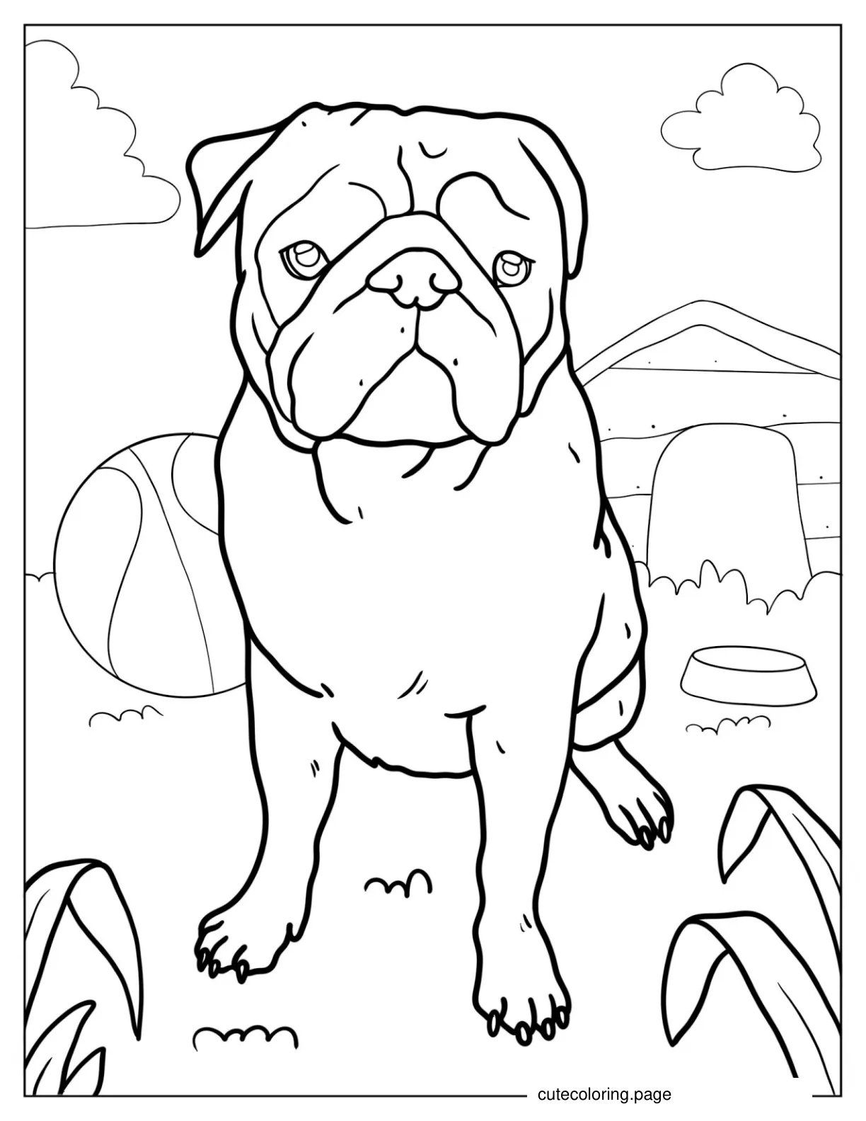 Realistic Looking Pug With Ball To Color coloring page