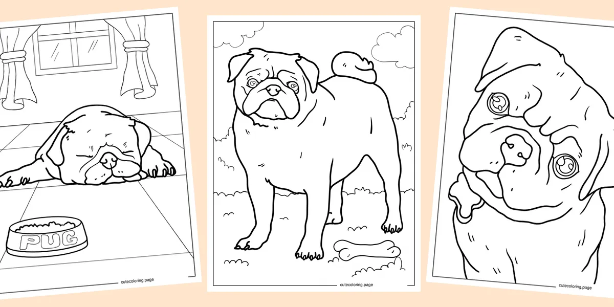 pug-coloring-pages