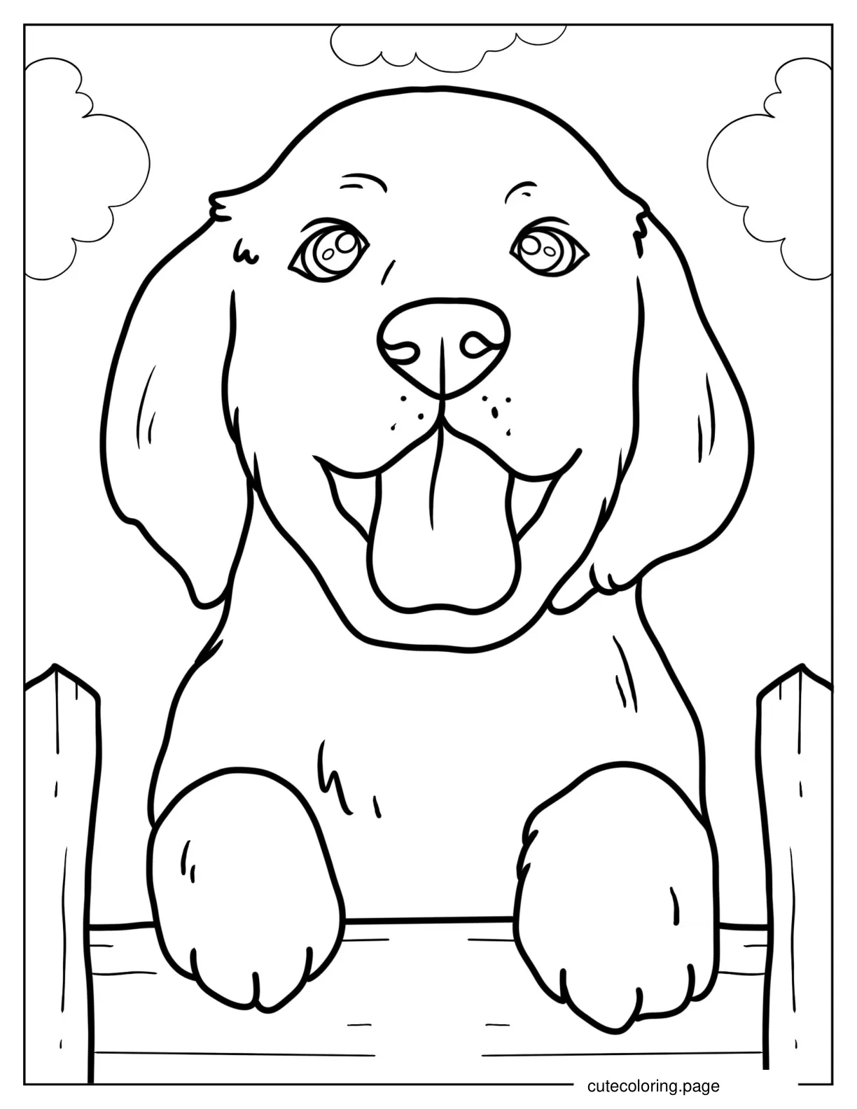 Close Up Of Labrador Puppy coloring page