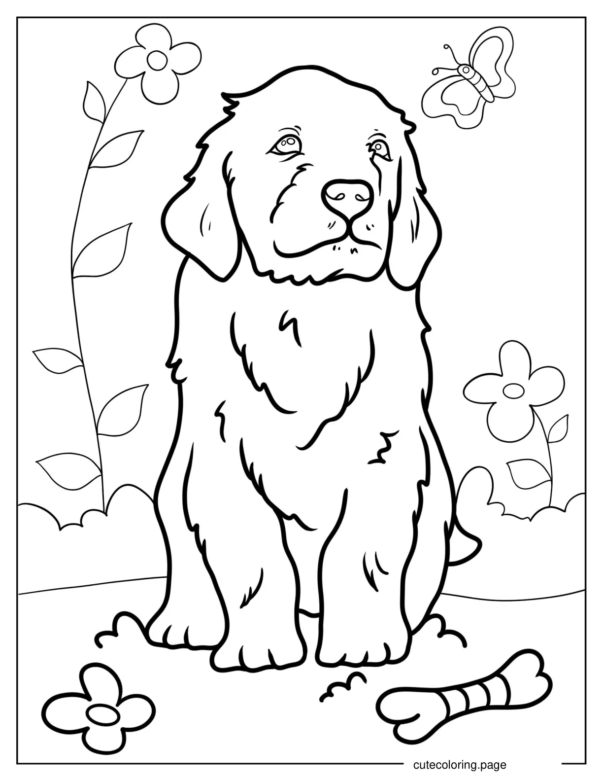 Golden Retriever Puppy Staring Into Distance coloring page