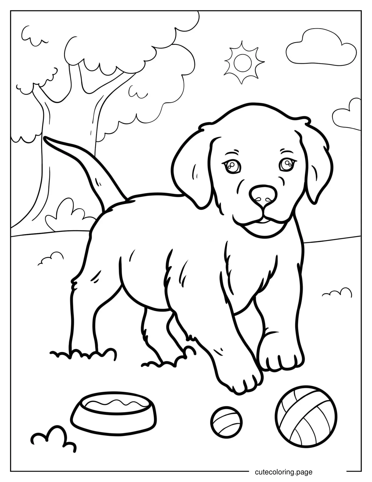 Realistic Labrador Puppy Playing With Ball Coloring In coloring page