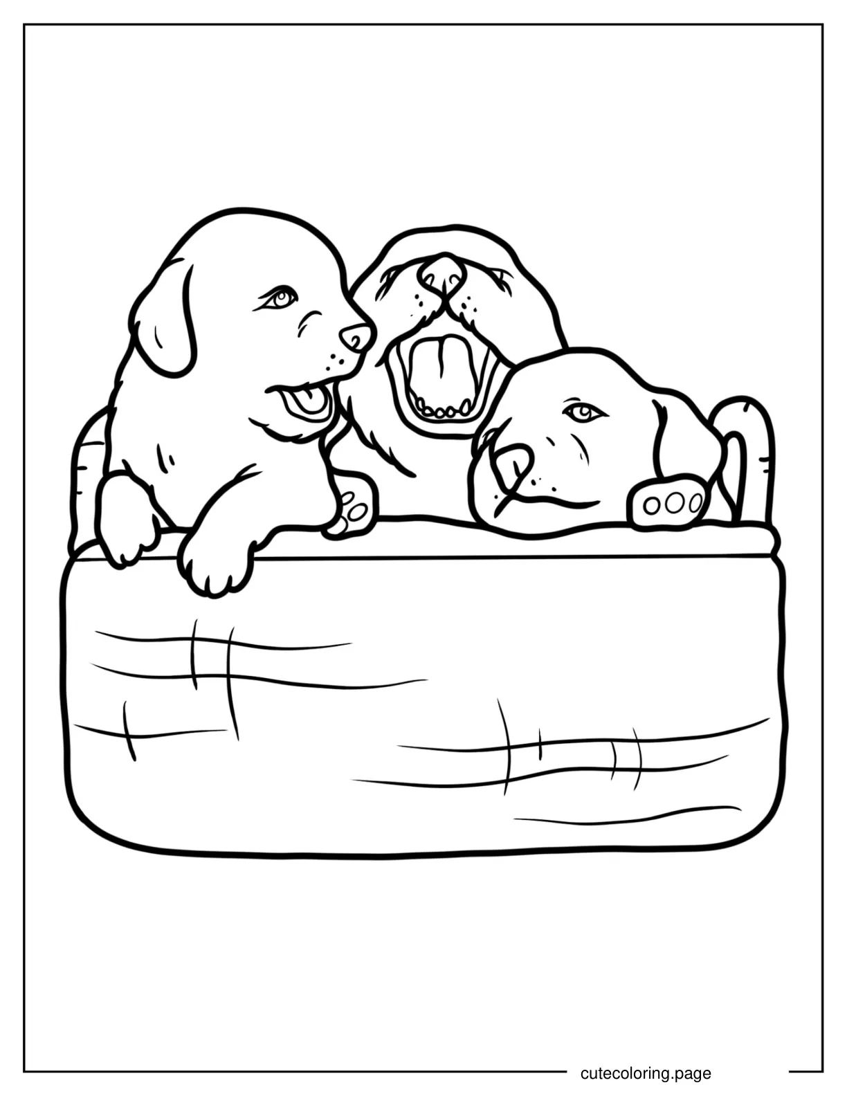 Three Puppies In Basket coloring page