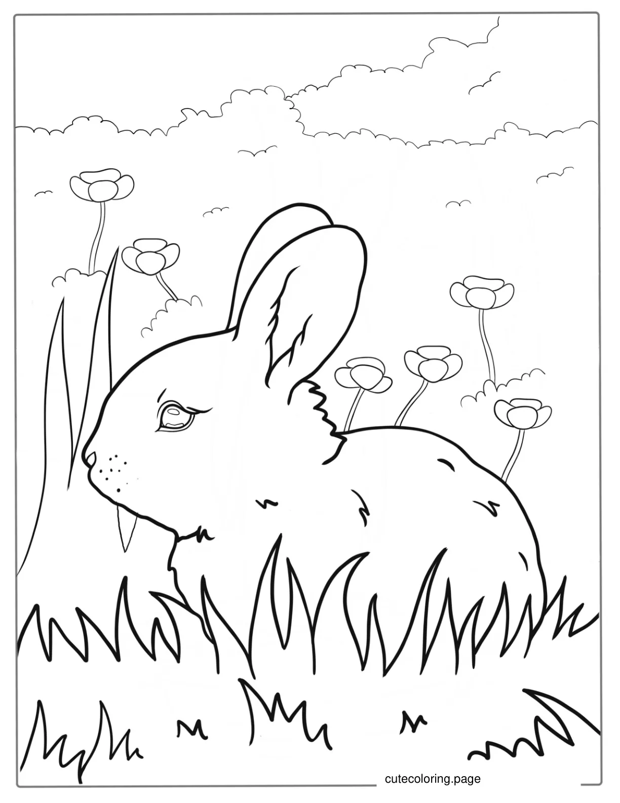 Baby Rabbit Standing In Grass Coloring Page coloring page