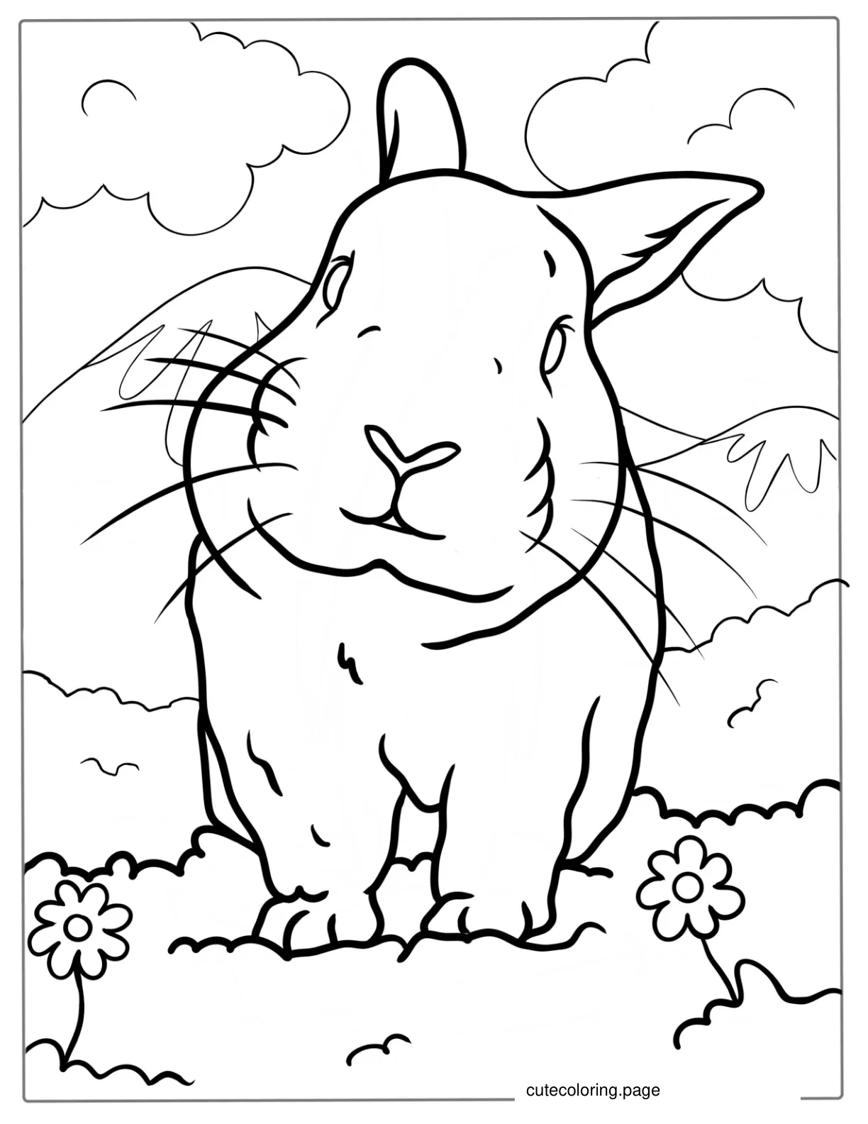 Cute Rabbits Nose Standing In Field coloring page