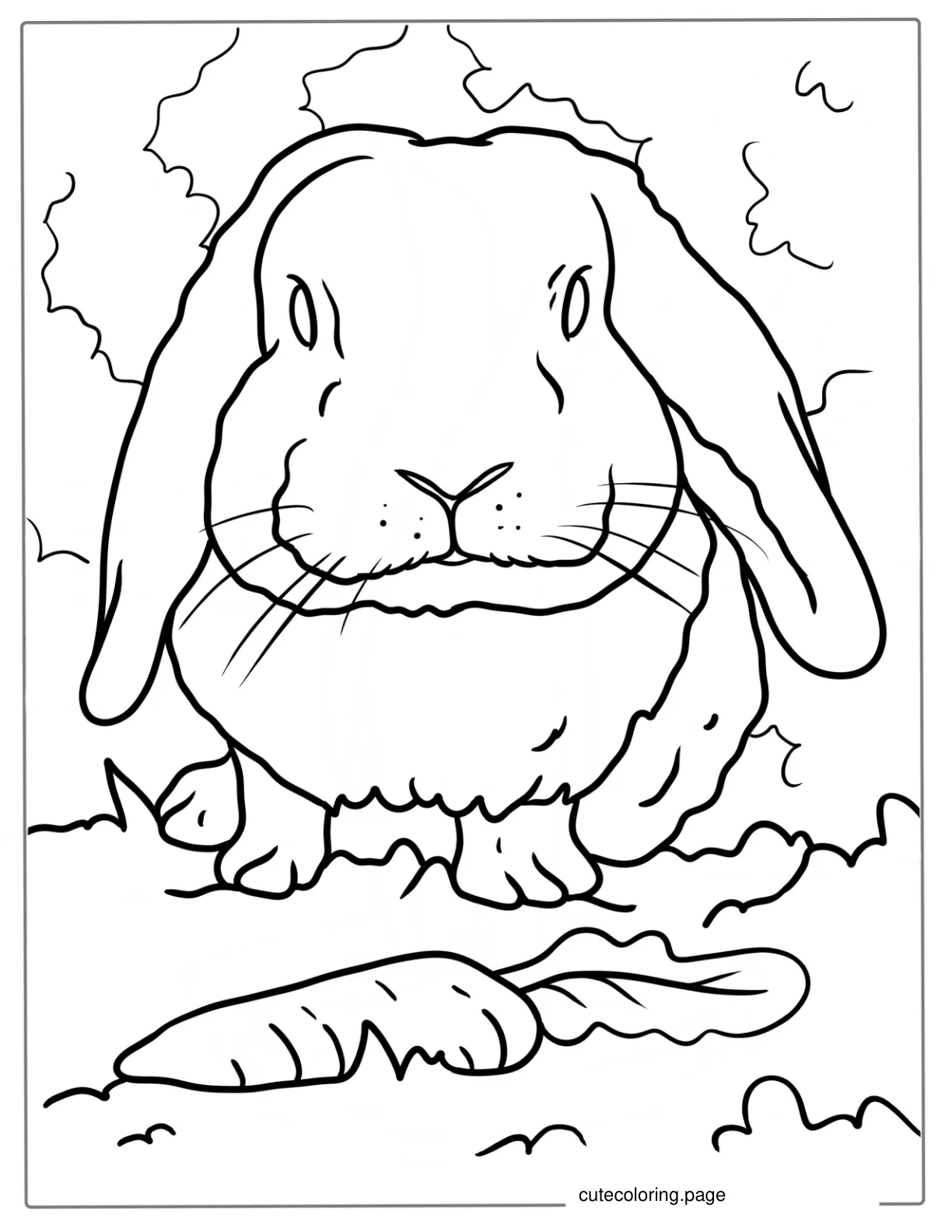 Flop Eared Rabbit Eating Carrot Coloring Picture coloring page