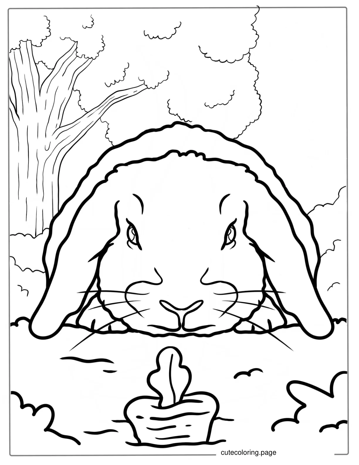 Lop Eared Rabbit Looking At Carrot Coloring coloring page