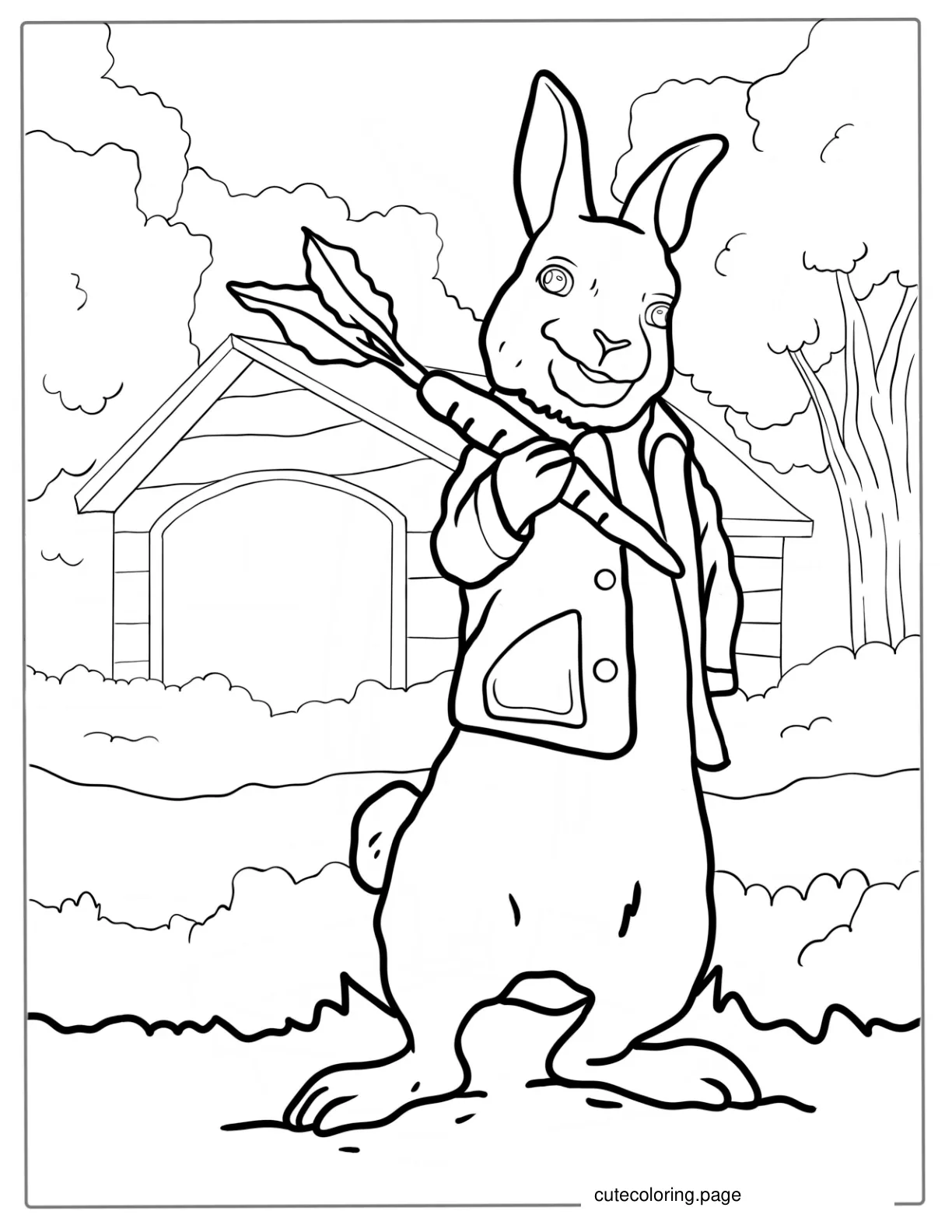 Petter Rabbit Holding Carrot Coloring Page coloring page