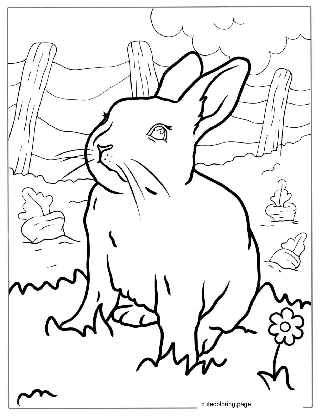 Rabbit In Veggie Patch To Color coloring page