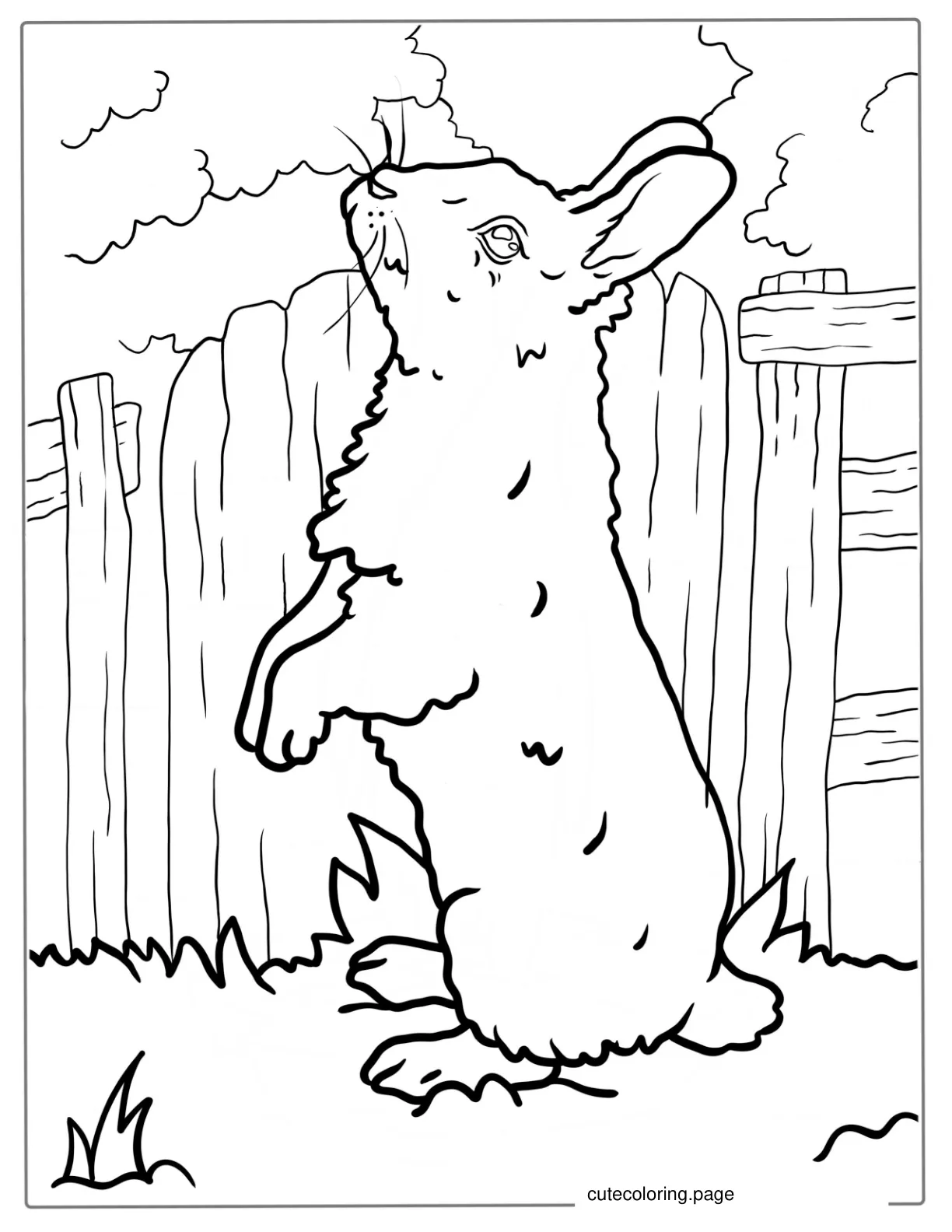 Rabbit Standing On Hind Legs Coloring Sheet coloring page