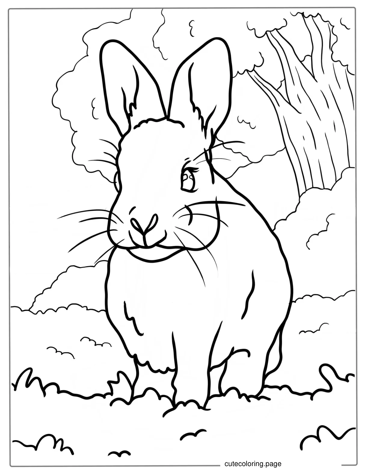 Simple Outline Of Realistic Rabbit coloring page