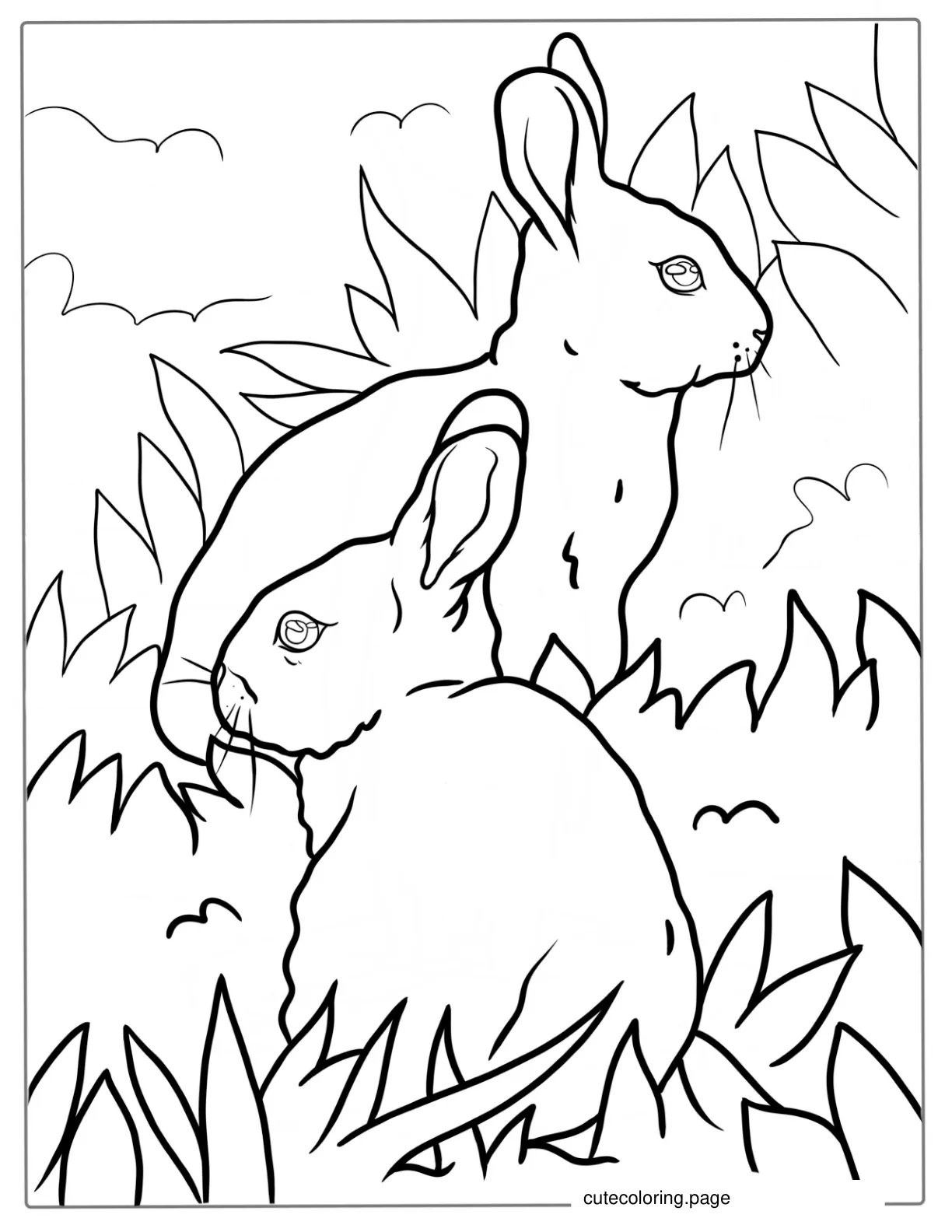 Two Rabbits Standing In Grass coloring page