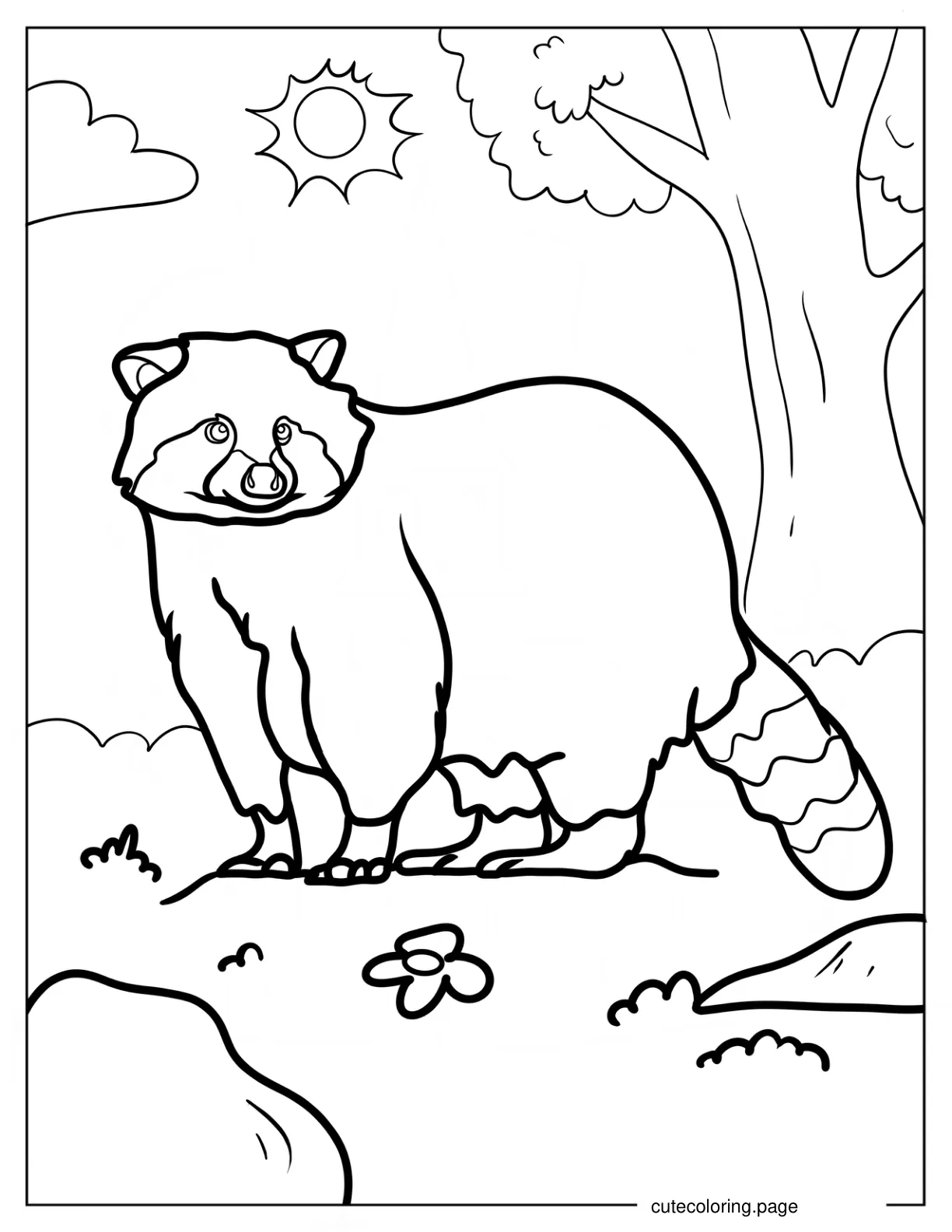 Adult Racoon In A Forest coloring page