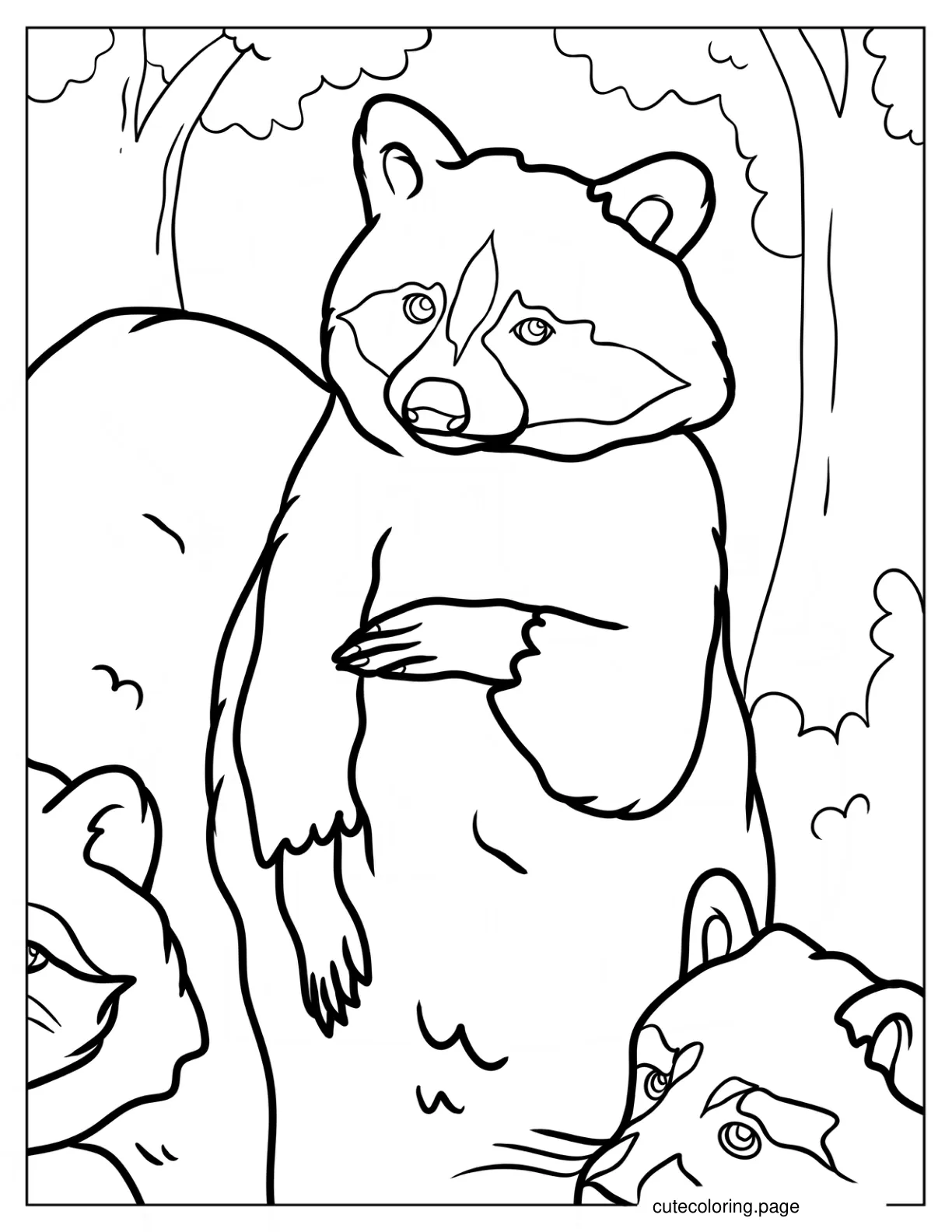 Large Realistic Racoon Coloring Sheet coloring page