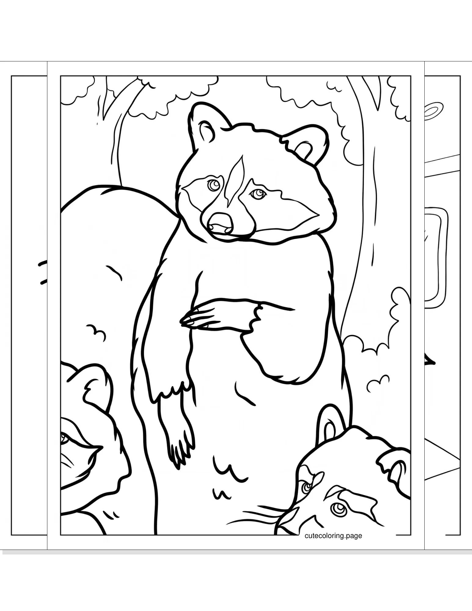 racoon coloring pages coloring page