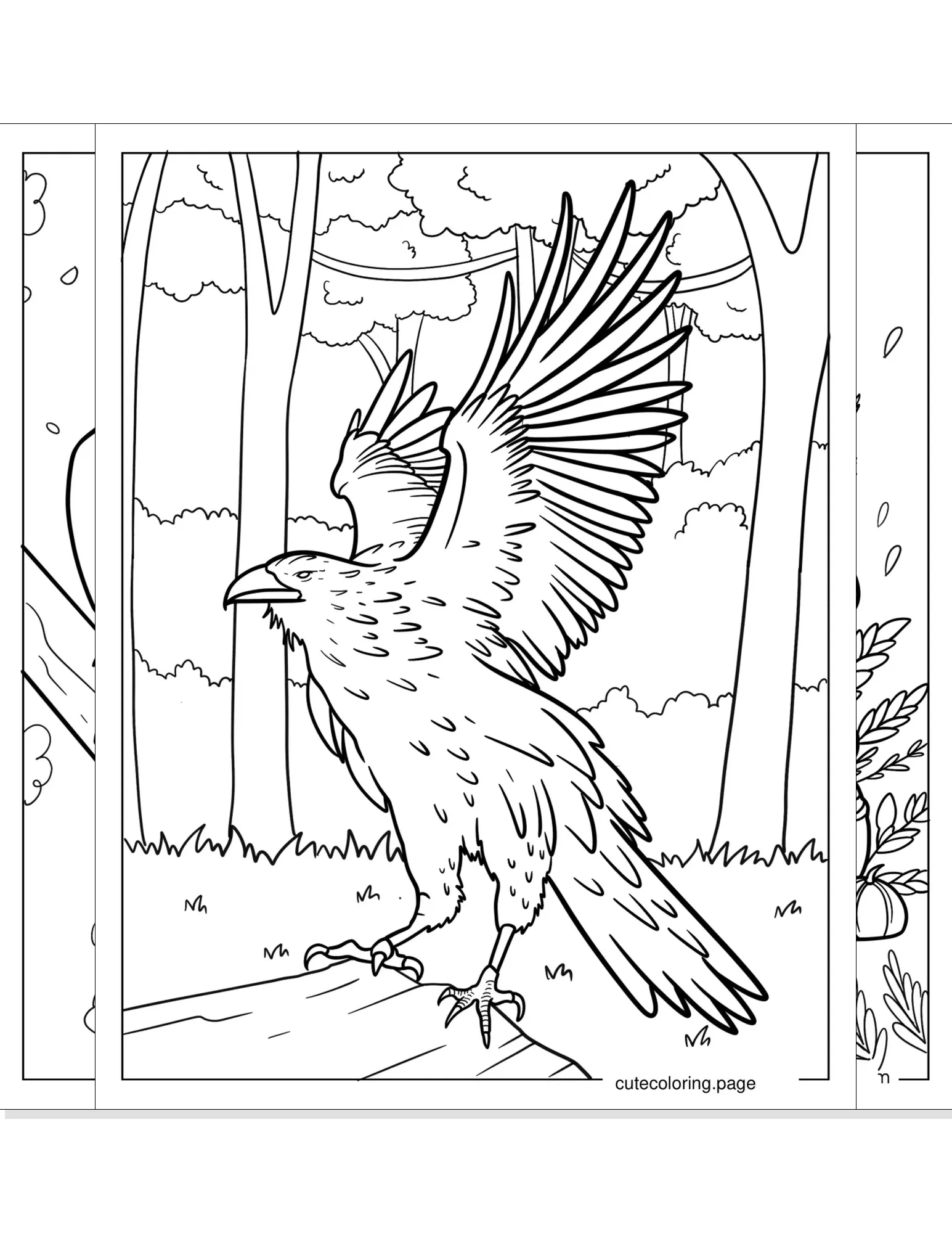 raven coloring pages coloring page