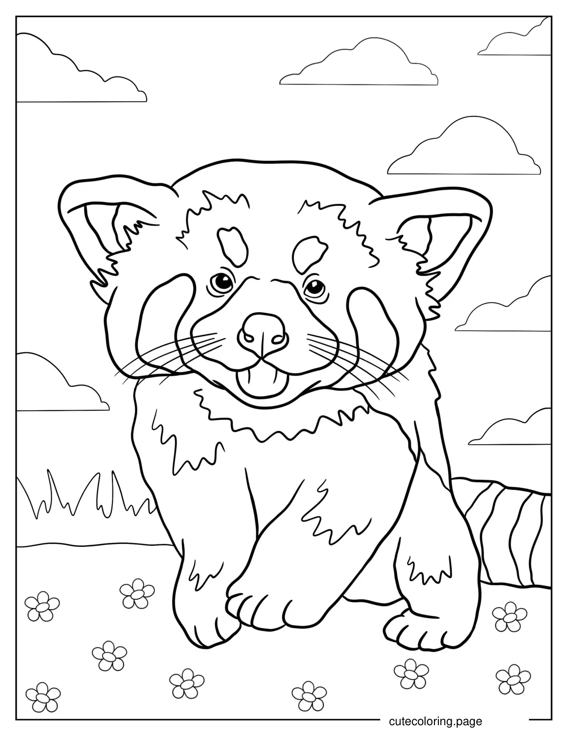 Cute Red Panda To Color coloring page