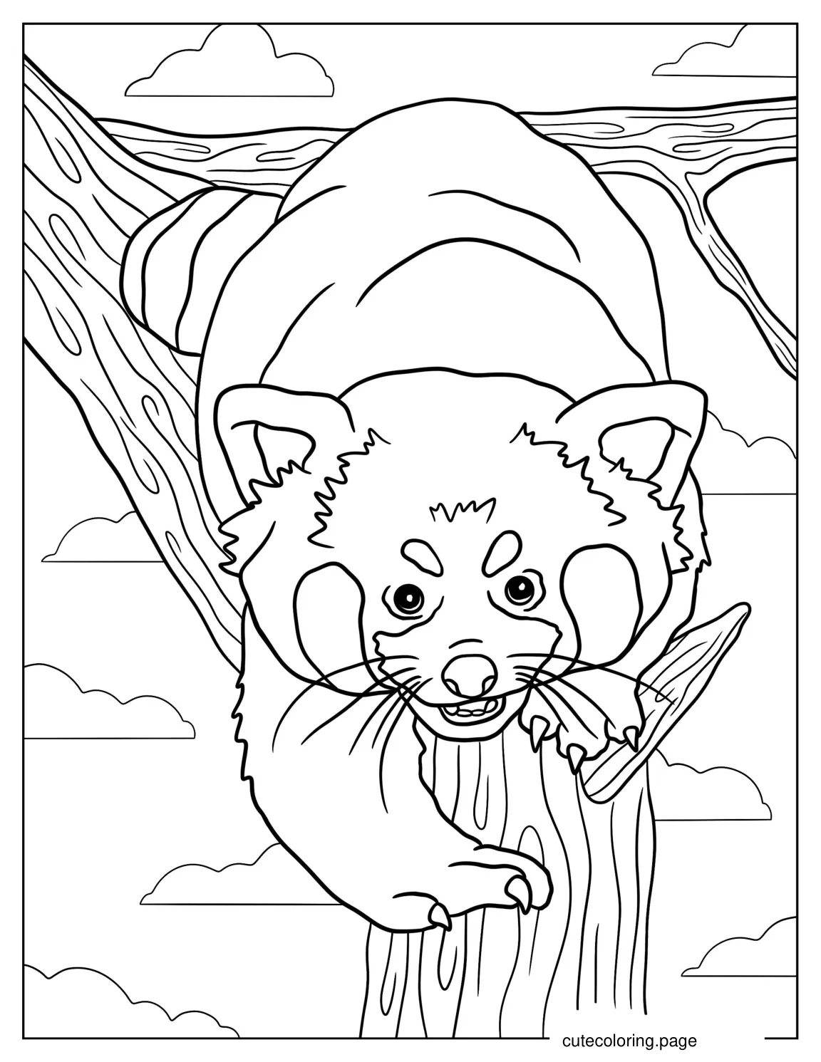 Mischievous Looking Red Panda coloring page