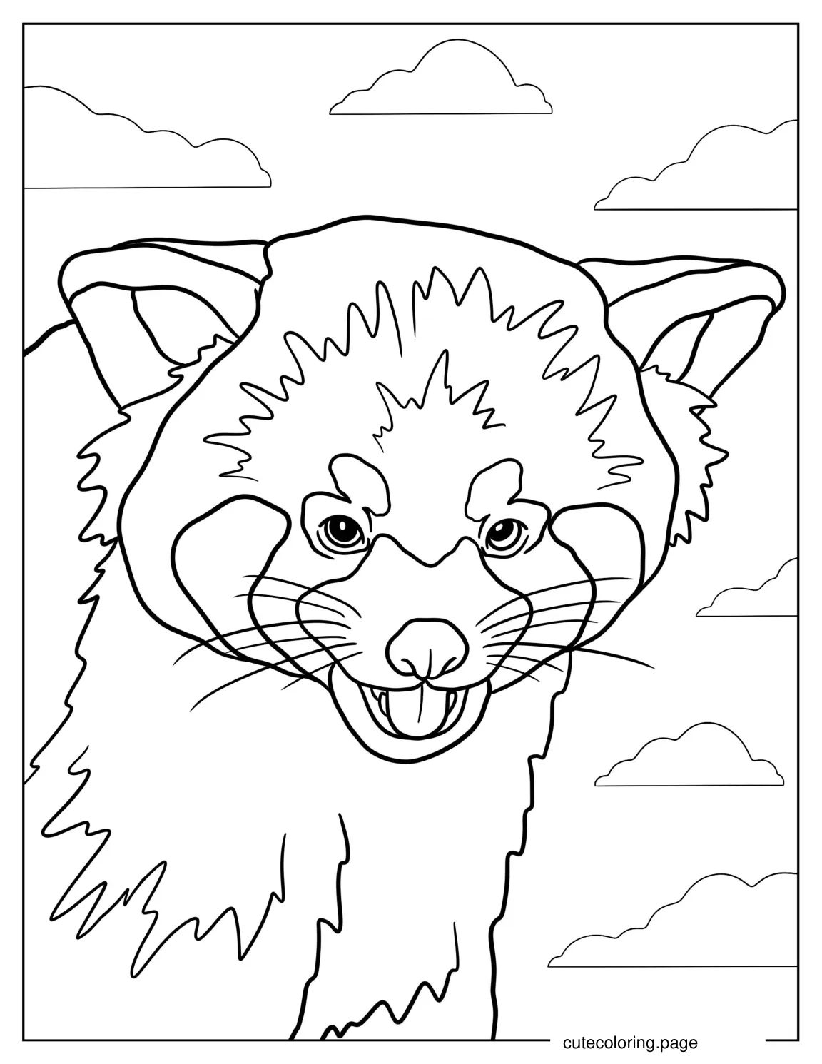 Realistic Red Panda Face Coloring Page coloring page