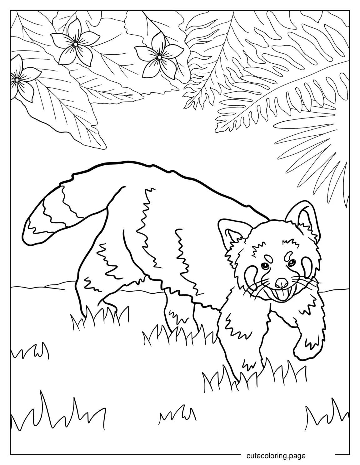 Red Panda Walking In Forest To Color coloring page