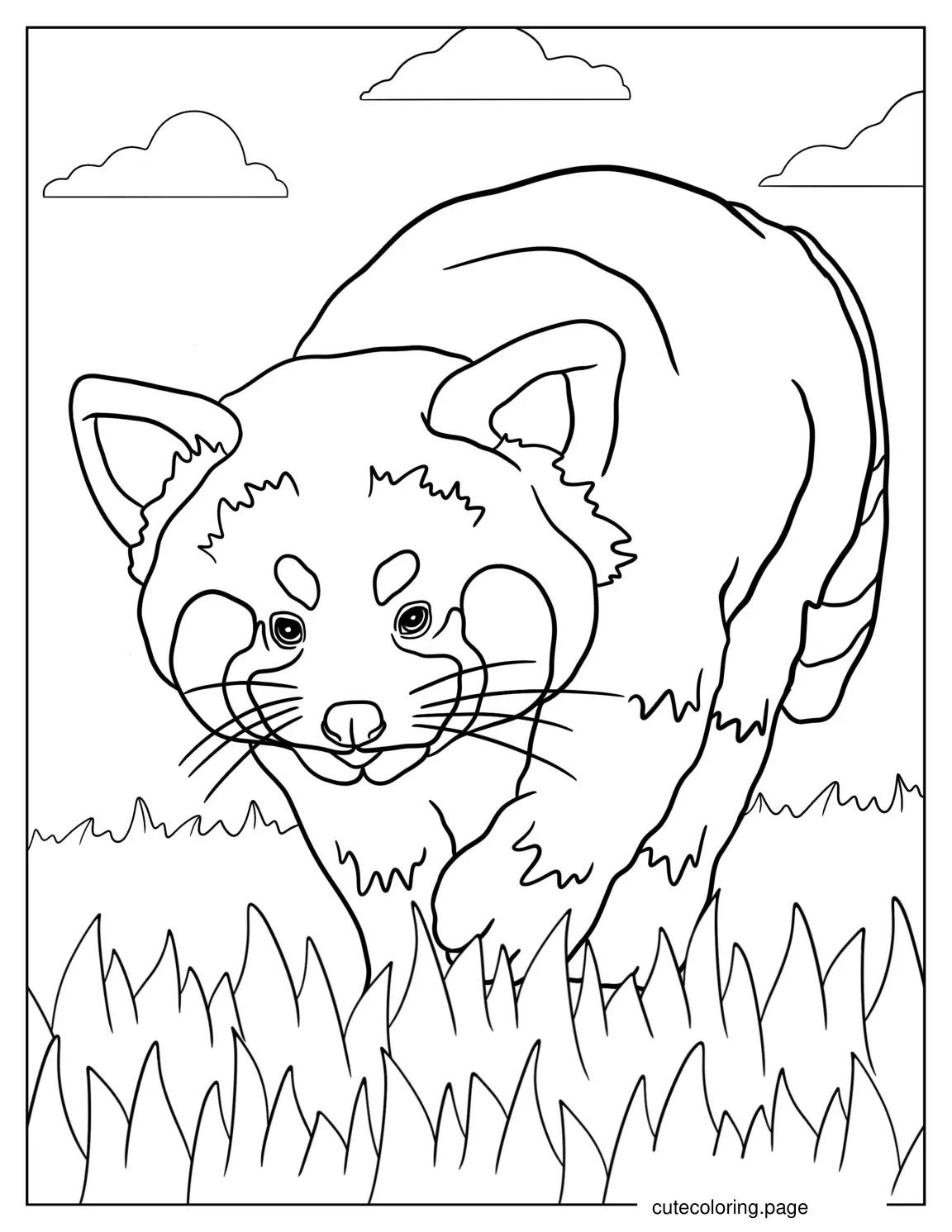 Red Panda Walking In Long Grass coloring page