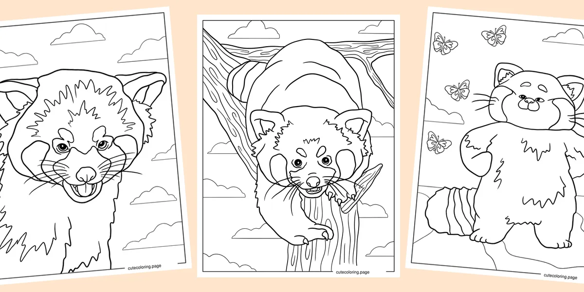 red-panda-coloring-pages