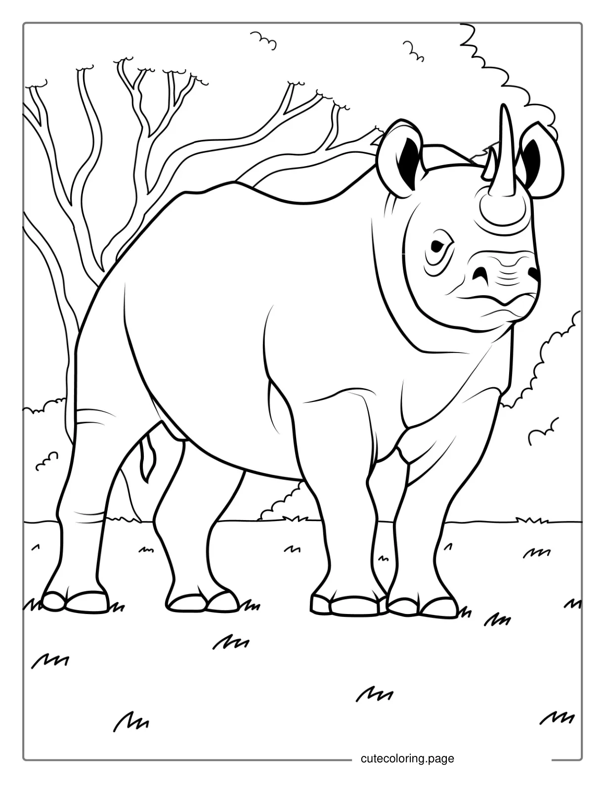 Detailed White Rhinoceros To Color coloring page