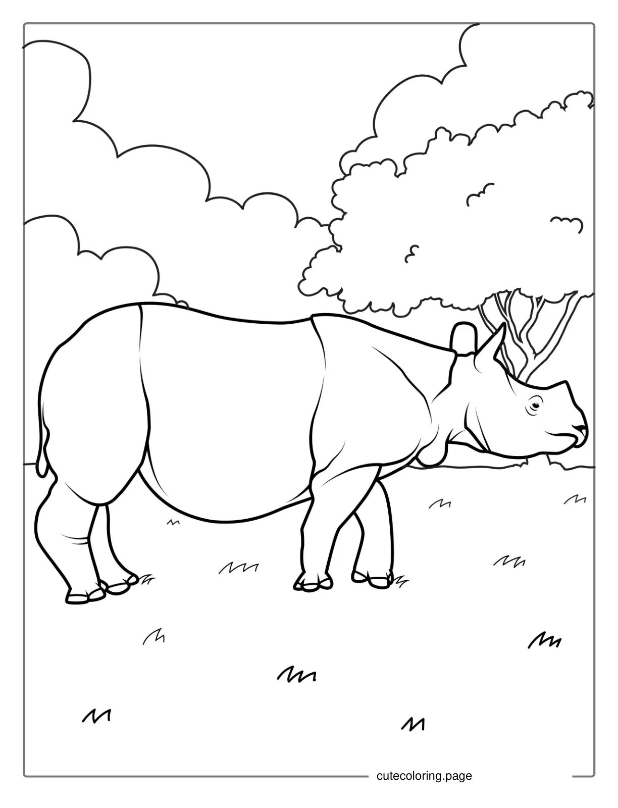 Indian Rhino Coloring Page coloring page